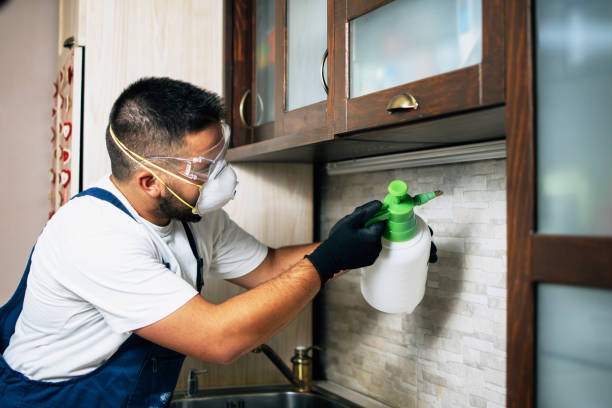 Best Mosquito Control Services  in Strathmore, NJ