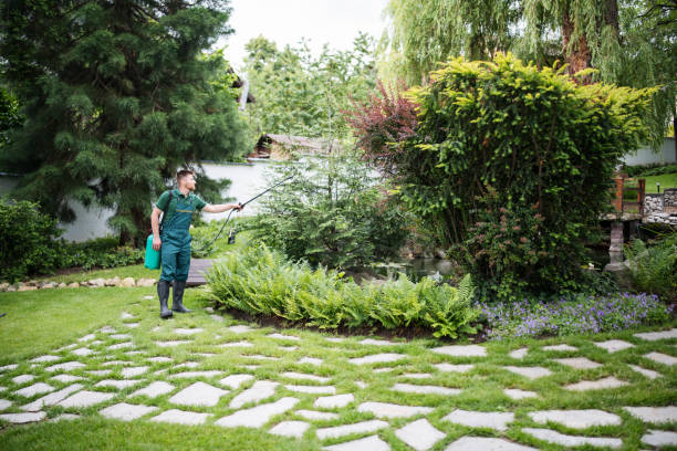 Best Affordable Exterminators  in Strathmore, NJ