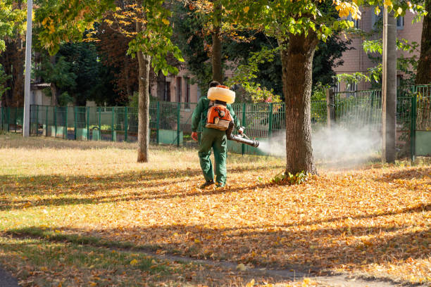Wasp Removal Services in Strathmore, NJ
