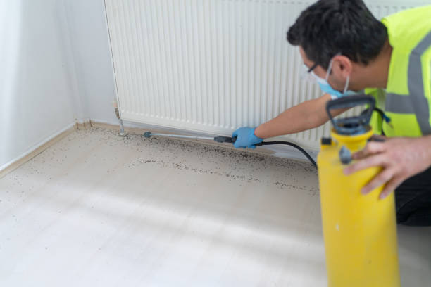 Best Ant Control Services  in Strathmore, NJ